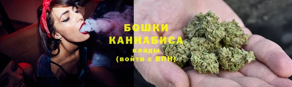 стаф Вязьма
