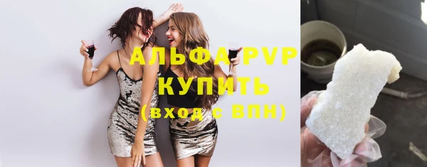 стаф Вязьма