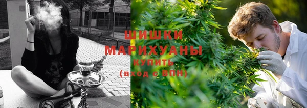 стаф Вязьма