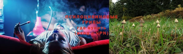 крисы Волосово